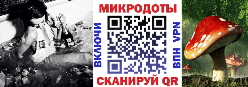 кракен зеркало Сосновоборск Галлюциногенные грибы ЛСД